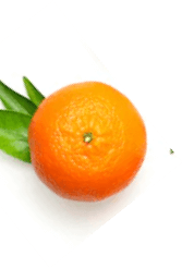 Suco de fruta